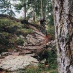 Stephen Canale, DMD, mountain biking in the forest